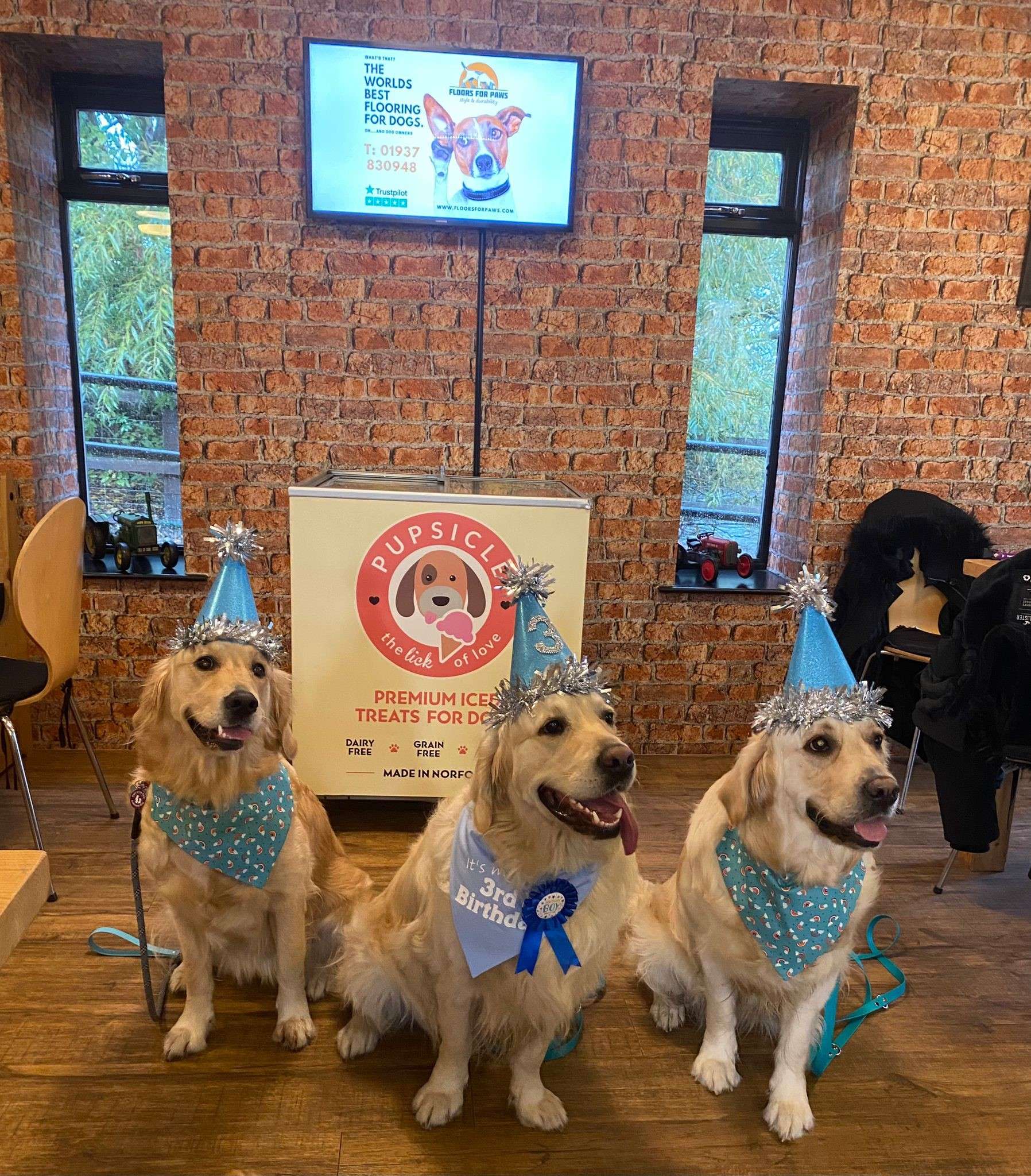 Farm-Cafe-dog-birthday