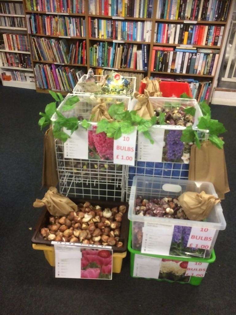 Bulbs
