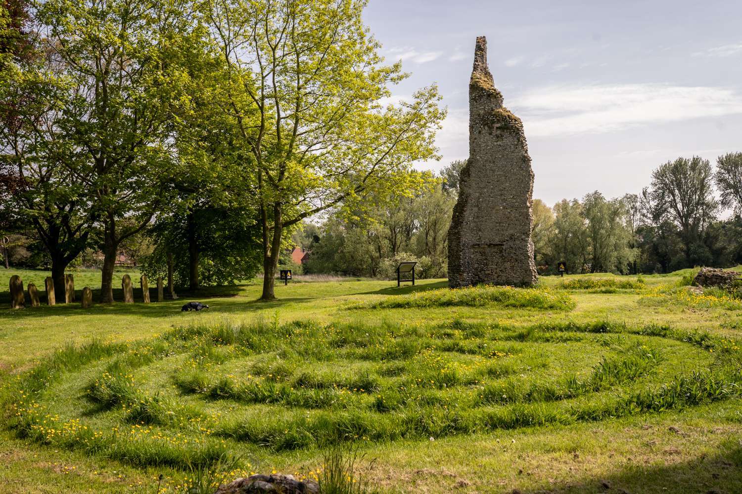 Wymondham-76